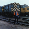 Devonbelle