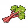 Rhubarb Loop